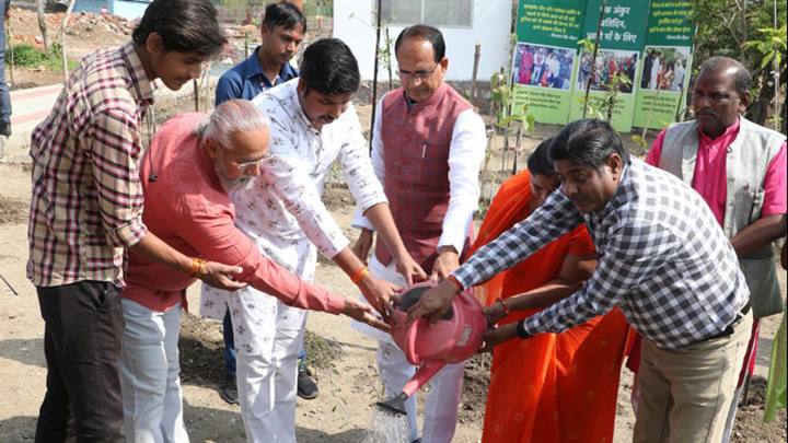 मुख्यमंत्री श्री चौहान ने जन-प्रतिनिधि और सामाजिक कार्यकर्ताओं के साथ लगाए पौधे